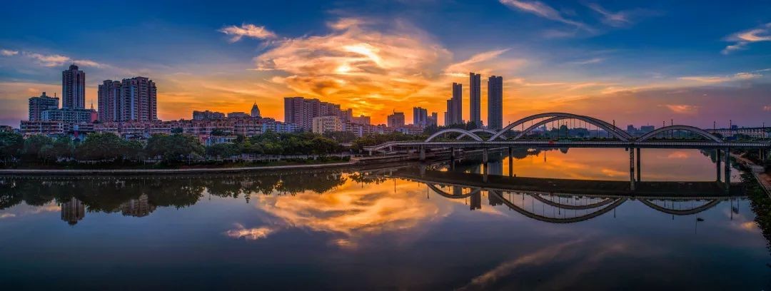 学习强国：推动高质量建设人与自然和谐共生的绿美广州